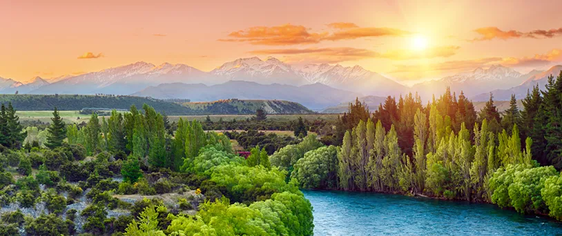 Corporate & VIP Transport